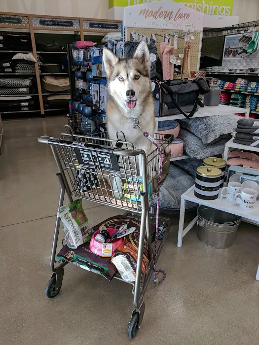 Petco Picture 6