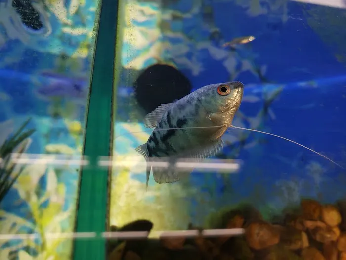 Petco Picture 1