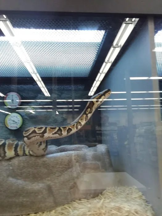 Petco Picture 3