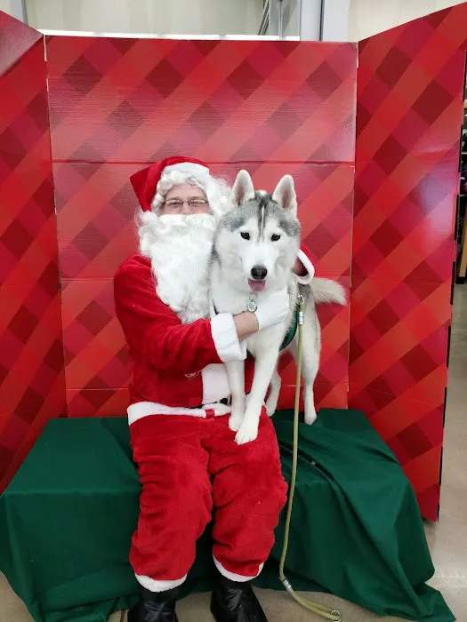 Petco Picture 4