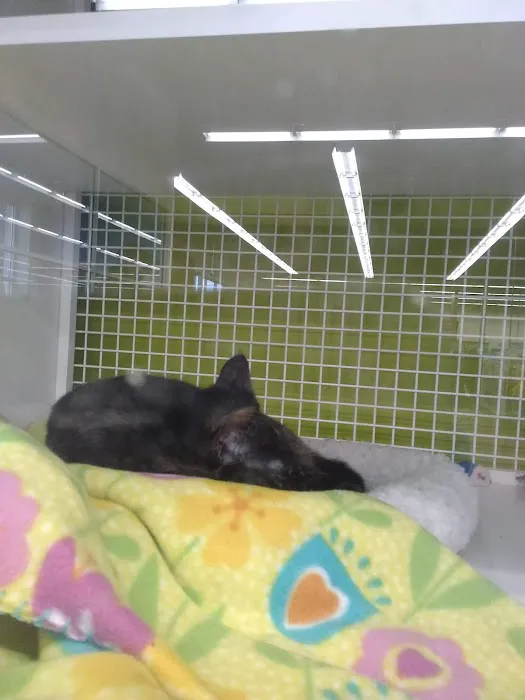 Petco Picture 8