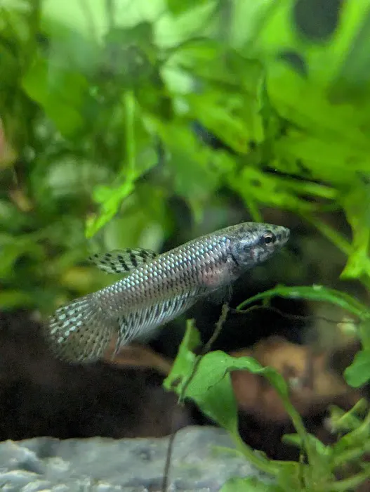 Petco Picture 9