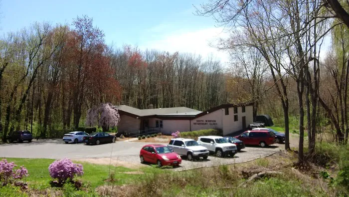 South Windsor Veterinary Clinic Picture 7