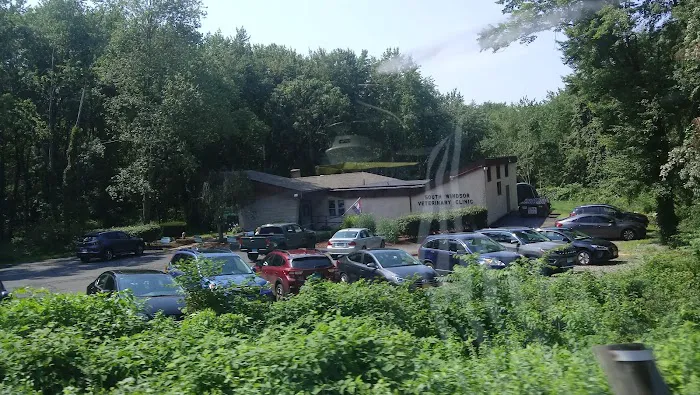 South Windsor Veterinary Clinic Picture 8