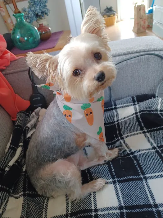 Banfield Pet Hospital Picture 5