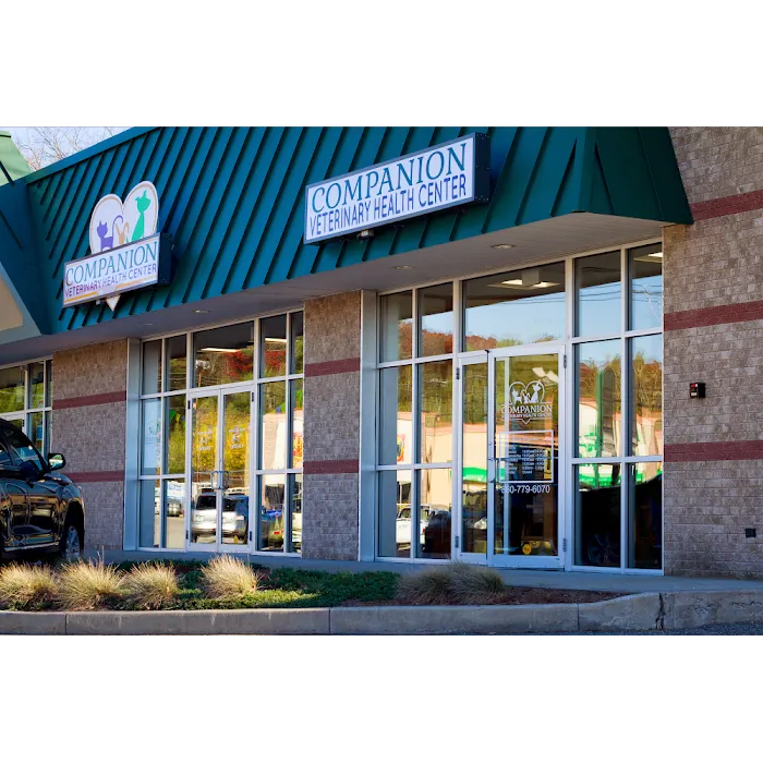 Companion Veterinary Health Center is now Value Pet Vet, Dayville Picture 10