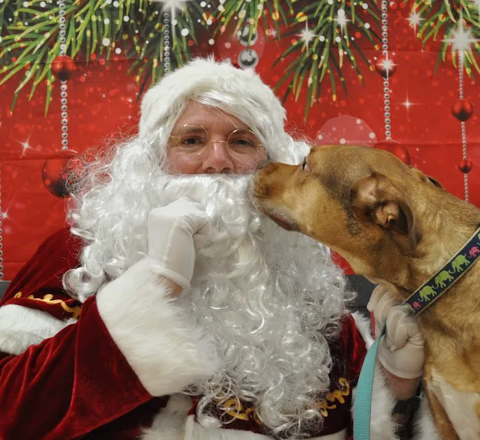 Companion Veterinary Health Center is now Value Pet Vet, Dayville Picture 7