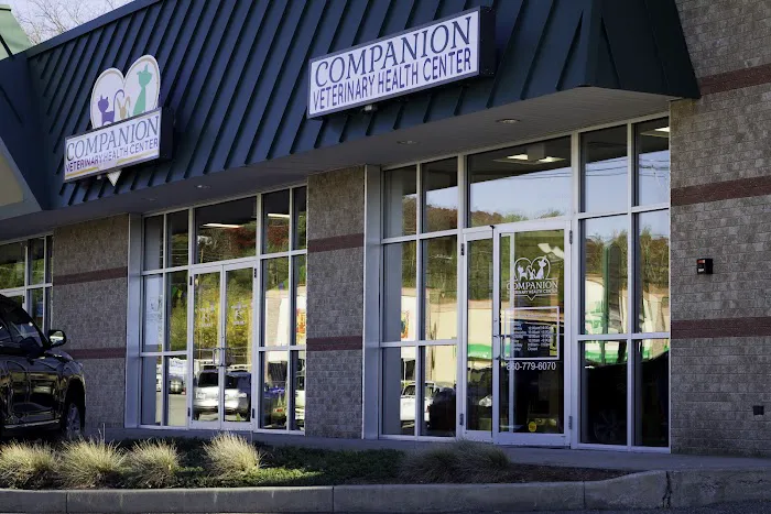 Companion Veterinary Health Center is now Value Pet Vet, Dayville Picture 8