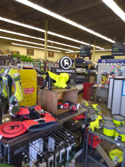 Petco Picture 5
