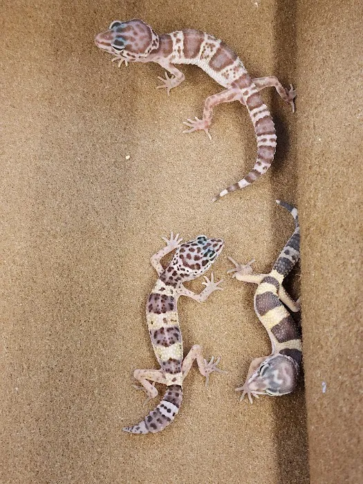 Petco Picture 10