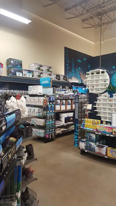 Petco Picture 1