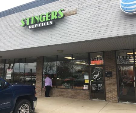 Stingers Exotics