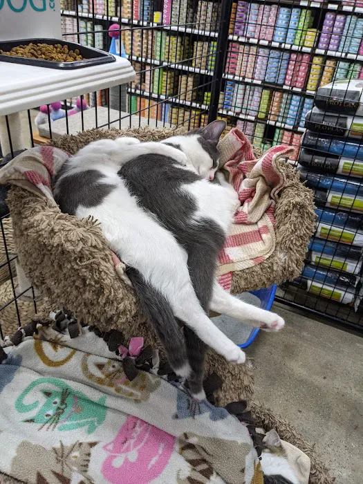 Premier Pet Supply Picture 4