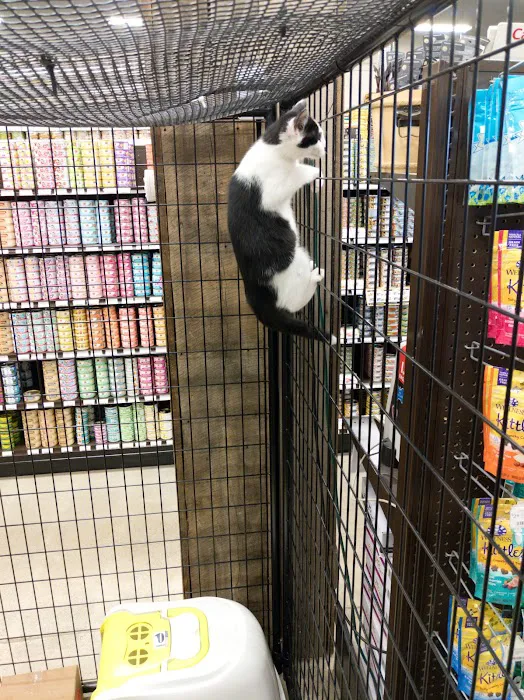 Premier Pet Supply Picture 9