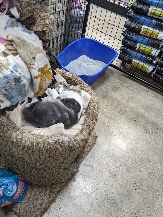 Premier Pet Supply Picture 6