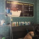 Premier Pet Supply