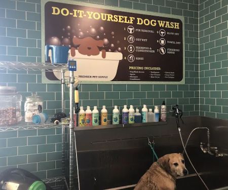 Premier Pet Supply
