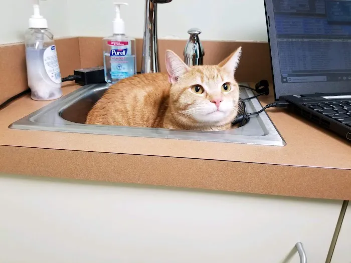 Newington Veterinary Clinic Picture 9
