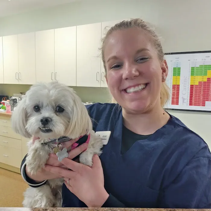 Newington Veterinary Clinic Picture 7