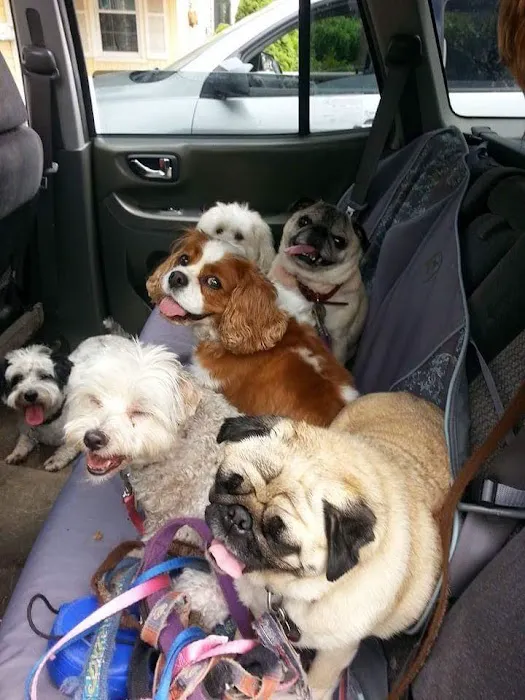Newington Veterinary Clinic Picture 4