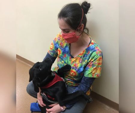 Manchester Veterinary Clinic