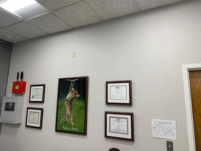 Vet For Pet Animal Hospital Picture 7