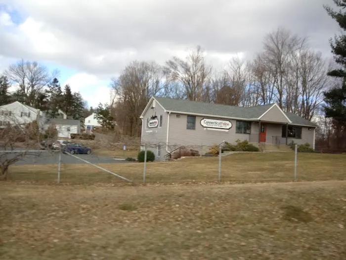Connecticut Feline Medicine and Surgery Picture 4