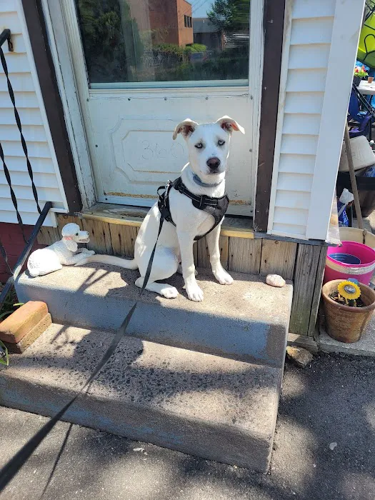 East Hartford Animal Clinic Picture 1