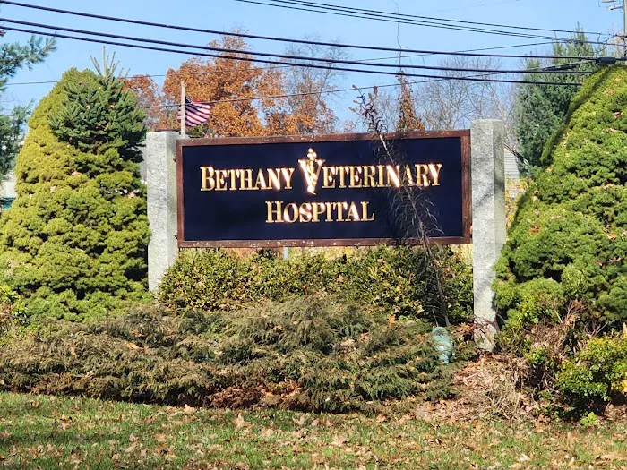 Bethany Veterinary Hospital Picture 7