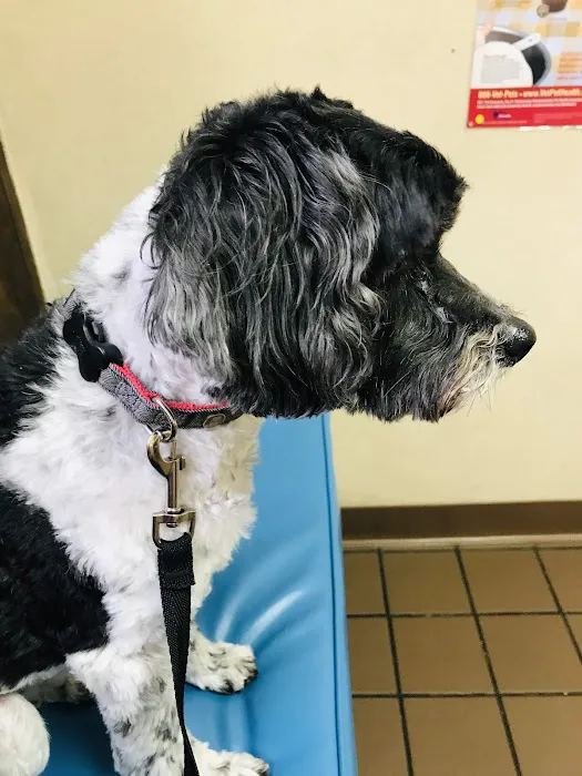 Bethany Veterinary Hospital Picture 2