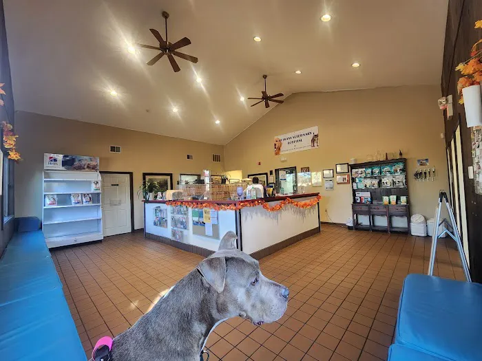 Bethany Veterinary Hospital Picture 8