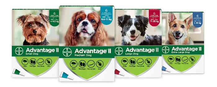 Pet Fantasy & Feed Picture 5