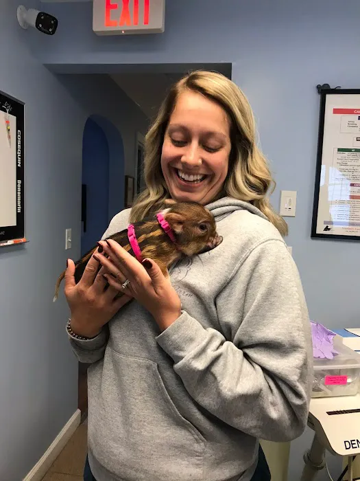 Country Companions Veterinary Picture 5