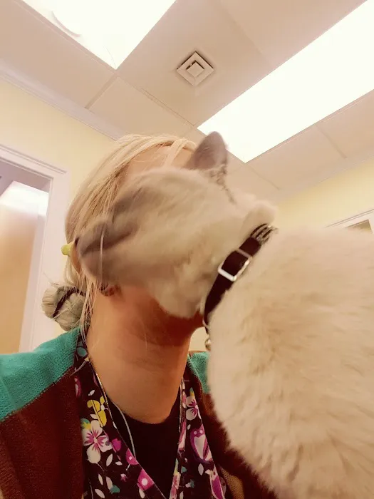 Woodbridge Veterinary Hospital Picture 4