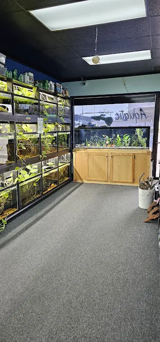Aquatic Innovation Picture 8