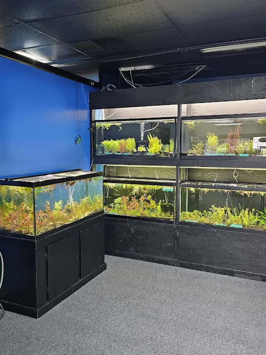 Aquatic Innovation Picture 6