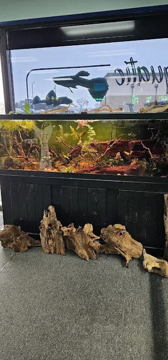 Aquatic Innovation Picture 10