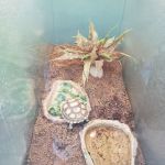 Magoo's Pet Outlet