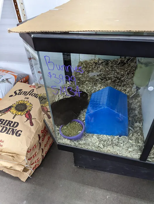 Magoo's Pet Outlet Picture 3