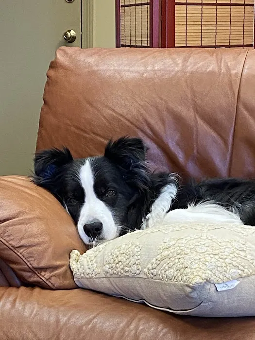 Pond Point Animal Hospital Picture 8