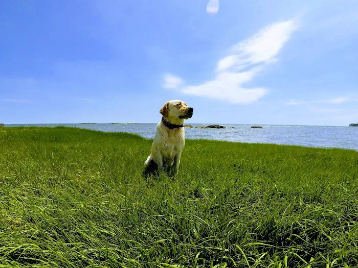 Pond Point Animal Hospital Picture 10