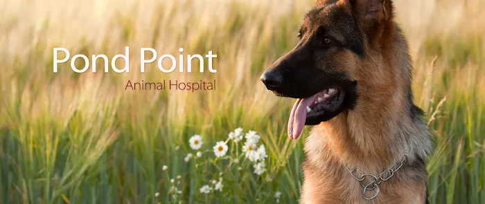 Pond Point Animal Hospital Picture 9