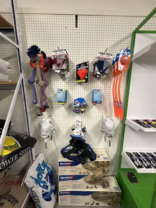 Riverview Pet Store Picture 8