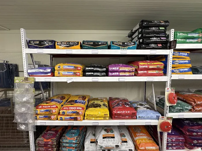 Riverview Pet Store Picture 6