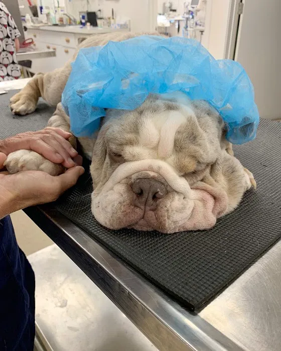 Milford Animal Hospital Picture 6