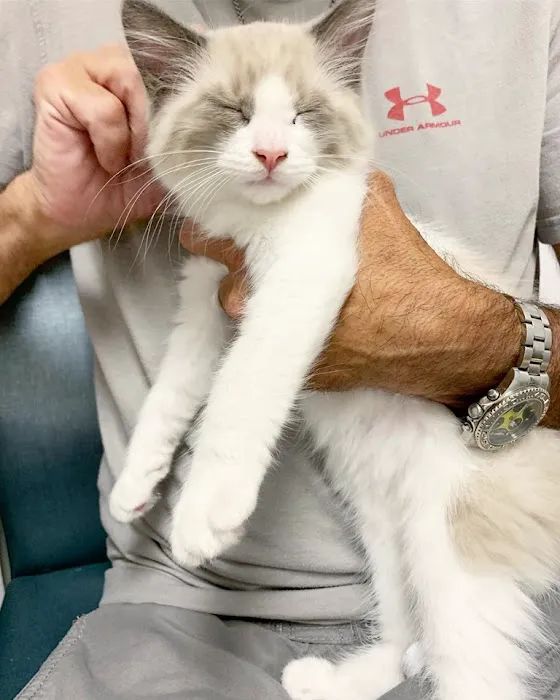 Milford Animal Hospital Picture 2