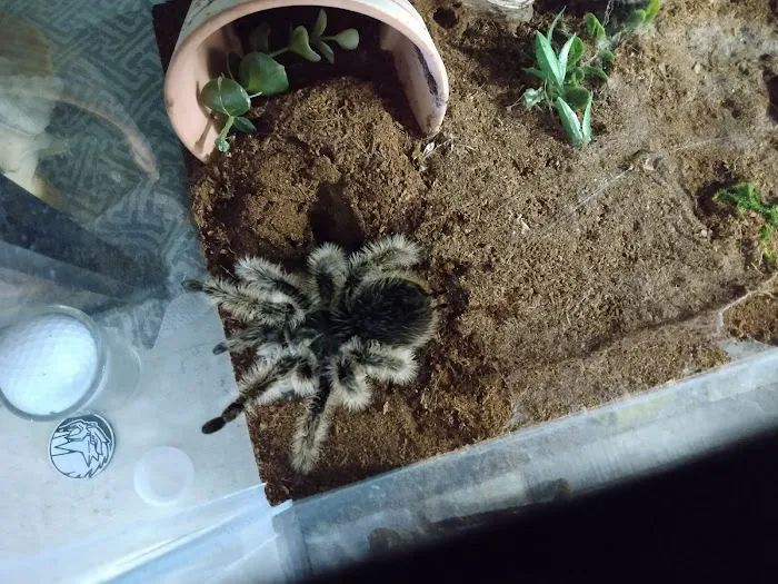 Dotty's Feed and Pet Picture 4