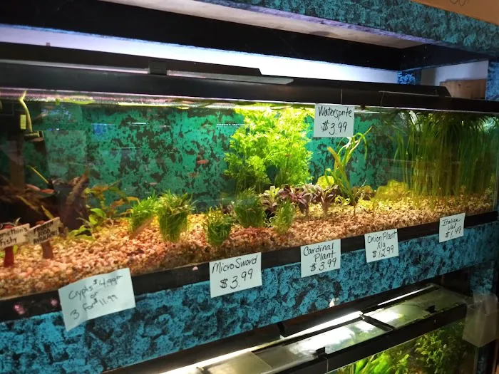 Somethin's Fishy Pet Shop Inc Picture 3