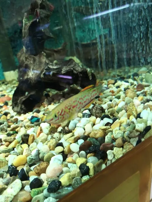 Somethin's Fishy Pet Shop Inc Picture 2