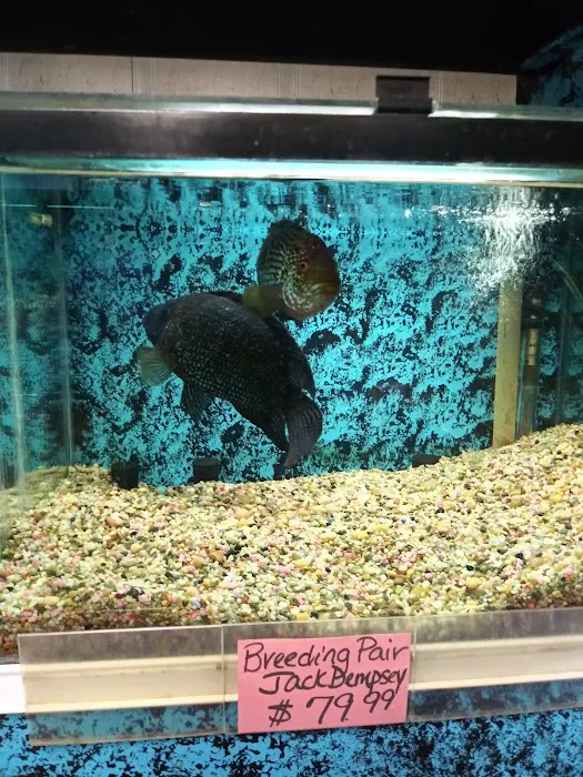Somethin's Fishy Pet Shop Inc Picture 1